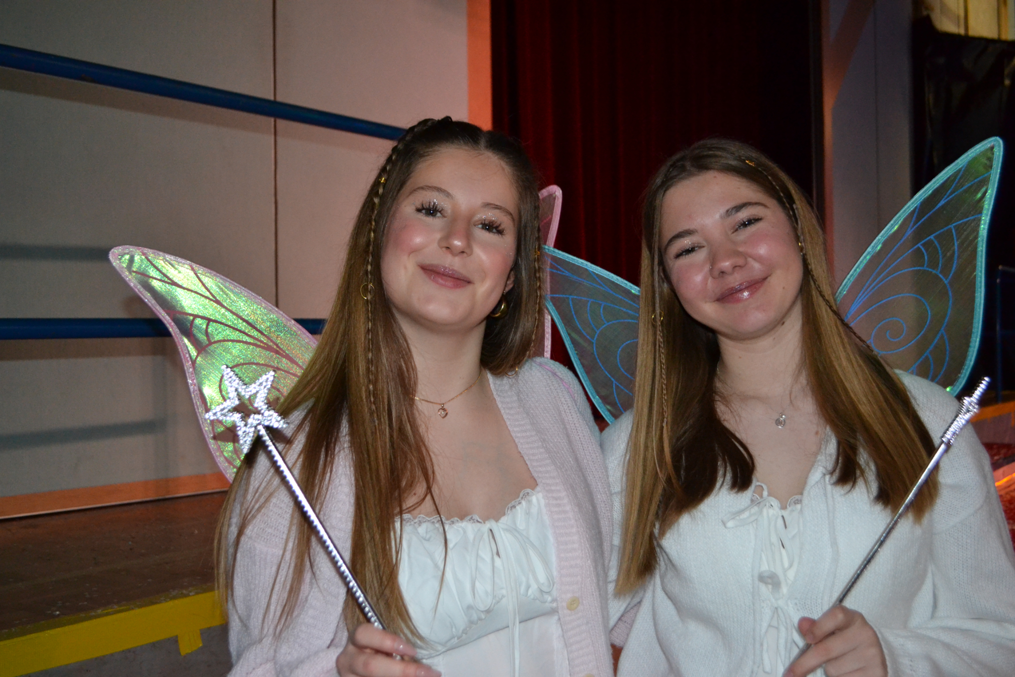 Bild1 (2)